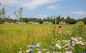 Otters Mead Boutique Lodges